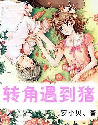 全民剧本大师内置菜单